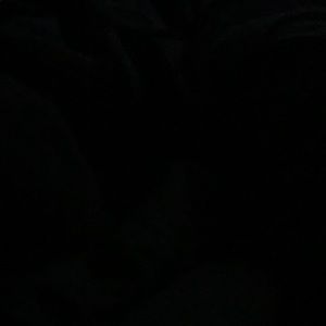 Meet your Posher, Katelyn